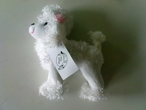 muschi-hund.jpg