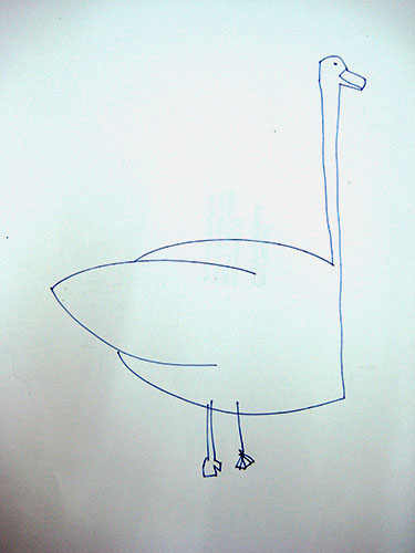 Schwan Alex