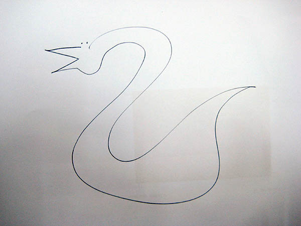 Schwan Kai