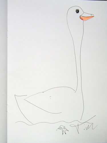Schwan Tim