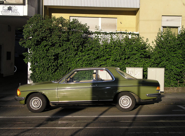 camouflage green
