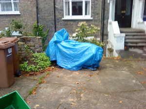 blue-ghost1.jpg