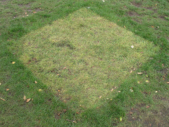 lawn art