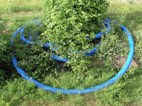 green and blue