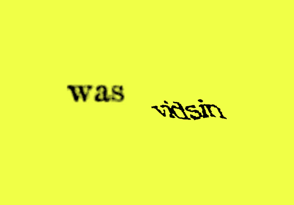 was vidsin