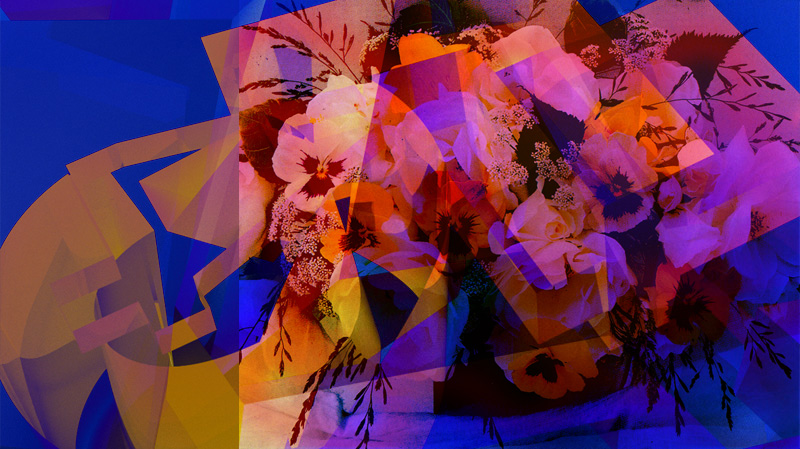 dp-03.jpg
