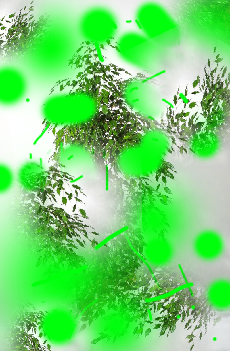 02.jpg