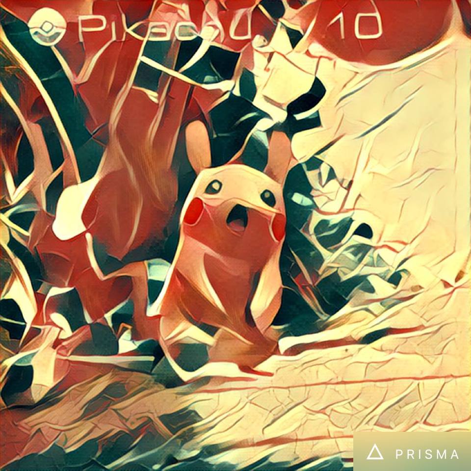 13659034_1441198119229634_8845619329355179597_n